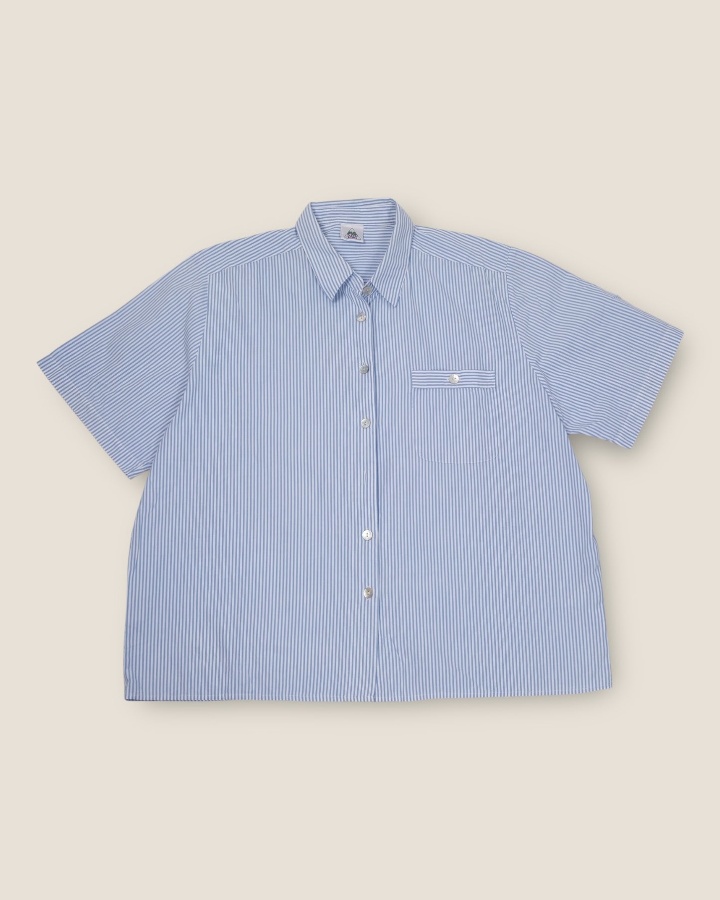 Blue/White Striped Shirt (short sleeve)